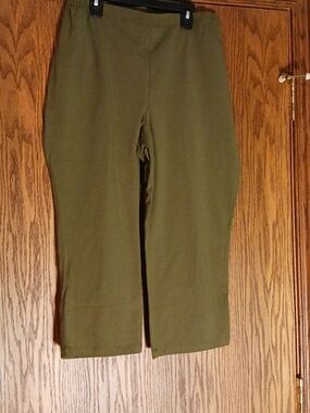 Women With Control By Renee Greenstein Pull On Capris